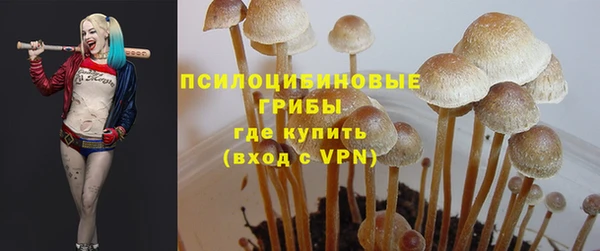 молекула духа Балахна