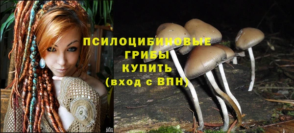 гидра Баксан