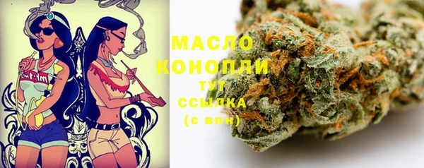 молекула духа Балахна