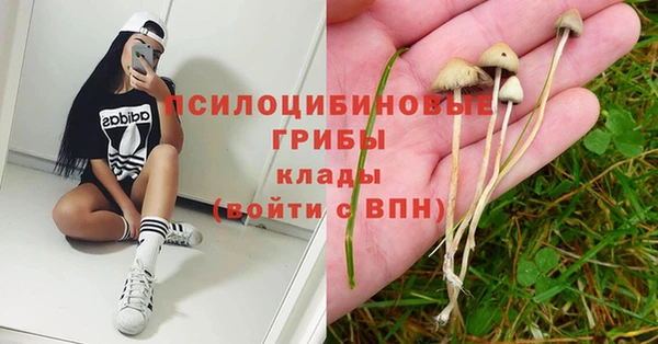 молекула духа Балахна