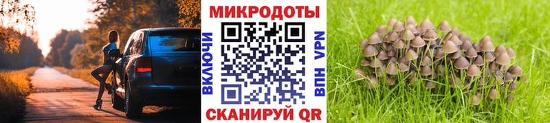 где купить наркотик  Кувандык  это какой сайт  Галлюциногенные грибы Magic Shrooms 